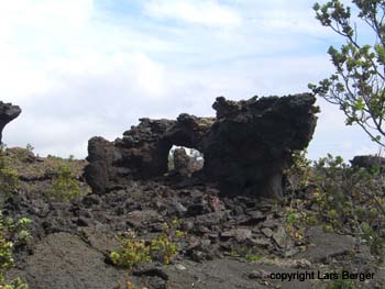 1974 Lava Trees3