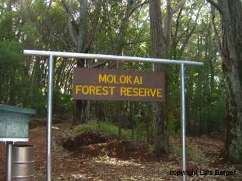 Auffahrt zum Forest Reserve Trail