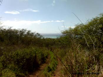 Ausstieg aus dem Trail