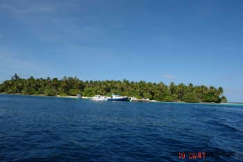 Biyadhoo