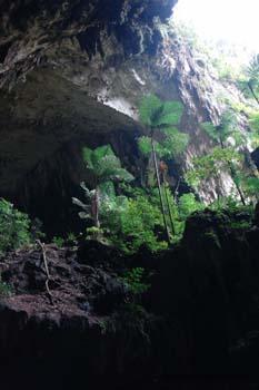 Deer Cave 1 Deer Cave 1
