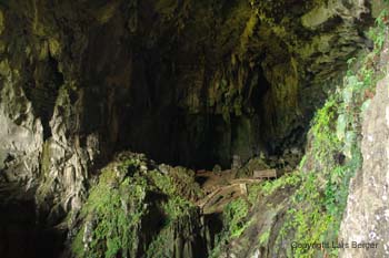 Fairy Cave3 Fairy Cave3