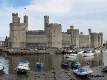 IMG_0125 IMG_0125