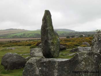 IMG_0133 IMG_0133