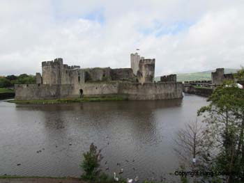 IMG_0252 IMG_0252