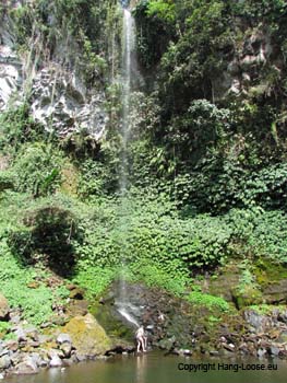 IMG_0468