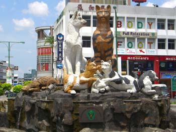 Kuching 6 Kuching 6