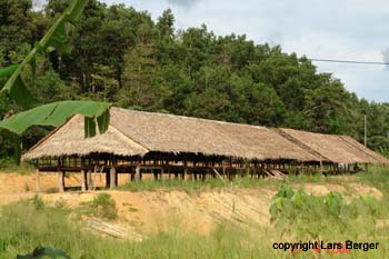 Langhaus im Bau auf Kudat02