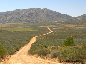 Namaqualand 2
