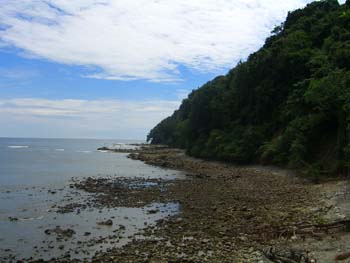 Playa Dominical