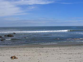 Playa Dominical2