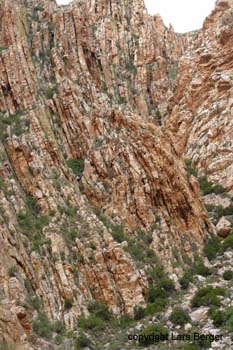 Price Albert Pass6
