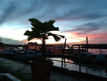 Sarikei4 Sarikei4