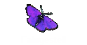 Fahrgestell
