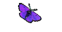 VAE