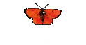 VAE