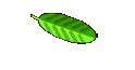 Afrika