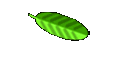Australien