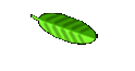 Colorado und New Mexico
