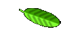 Kontakt zu uns