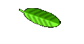 Lars Hobbies