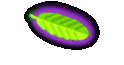 USA Nordwesten