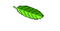 Wir �ber uns