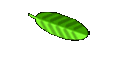Wohnmobil - IPO-