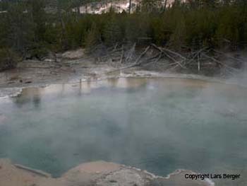 db_Yellowstone_6