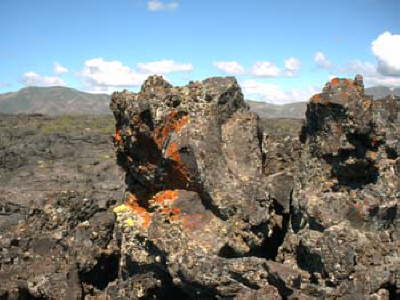 Flechten im Crater of the Moon