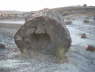 Petrified Forest 1