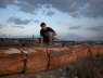 Petrified Forest 2