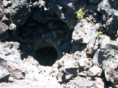 Tree Mold (Crater of the Moon)