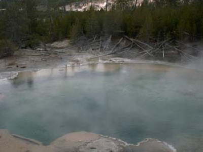 Yellowstone 6