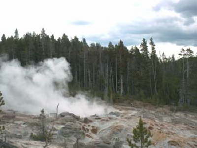 Yellowstone 7