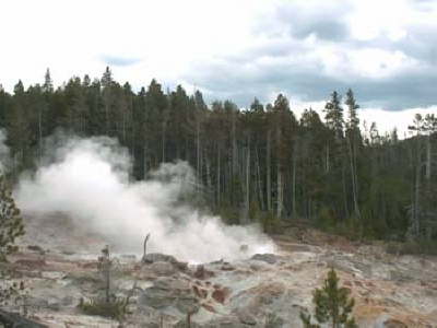 Yellowstone 8