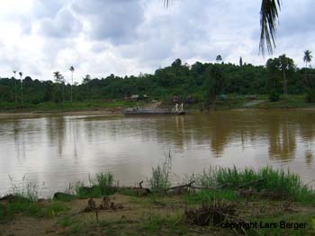 der Kinabatangan
