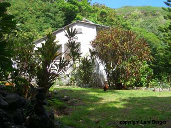 hier links zum Heiau und Wailau trail, nicht geradeaus