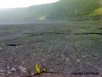 im kilauea iki krater2