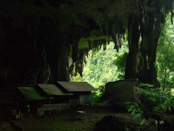 niah Cave8 niah Cave8