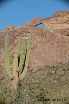 organ pipes arch2
