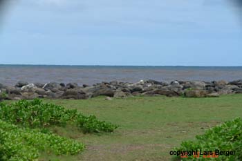 osten molokaii4