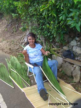palmflechter