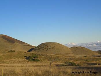 parker ranch