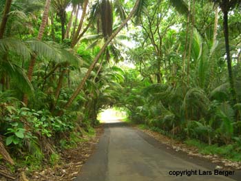 puna coast3