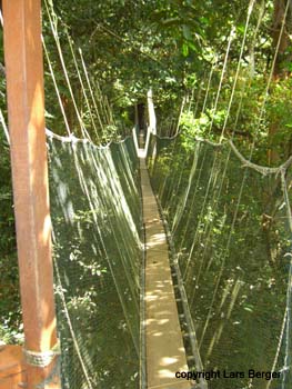 trail in Poring Hot Springs