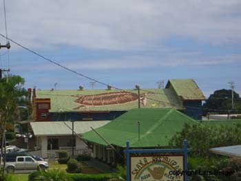 turtle Roof