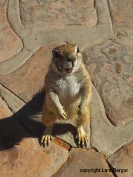 twee rivieren hÃƒÂ¶rnchen3