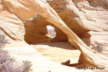 wave double arch 2