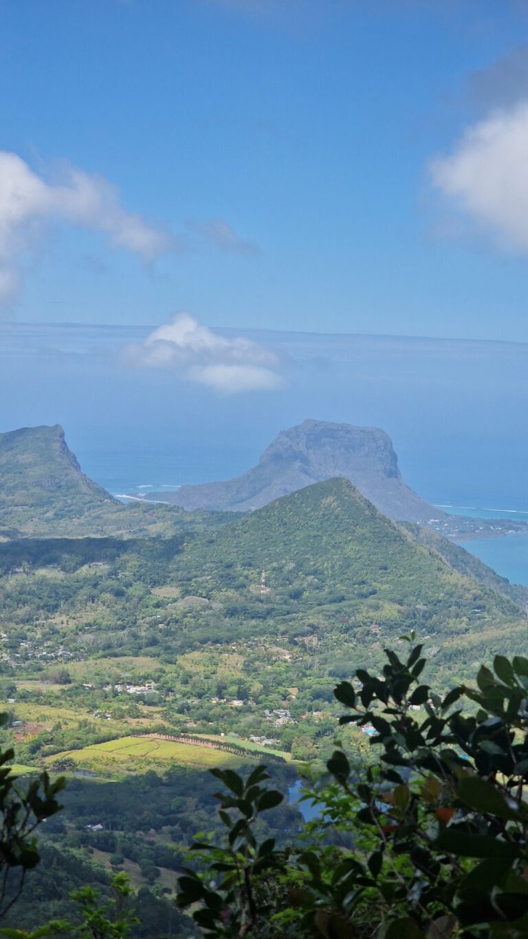 Durch Wald und Wolken auf den Piton de la Petite Rivière Noire